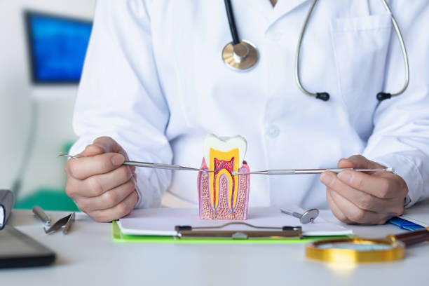 Best Emergency Root Canal Treatment in Laguna Heights, TX
